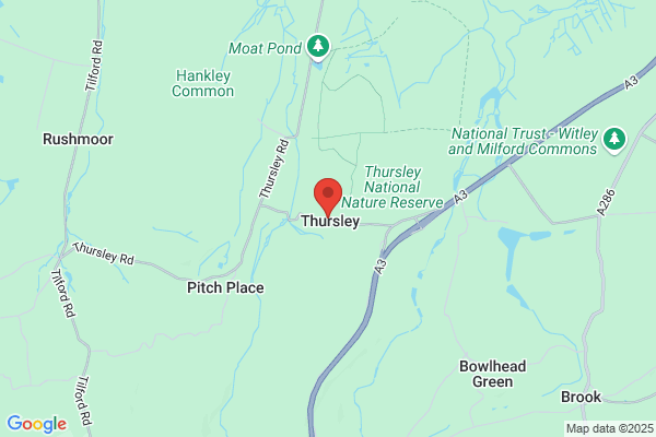 Equine Vets Near Thursley Mobile vet for horses Thursley