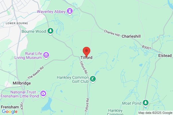 Equine Vets Near Tilford Mobile vet for horses Tilford