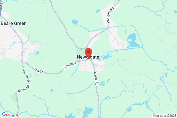 Mobile vet for horses Newdigate