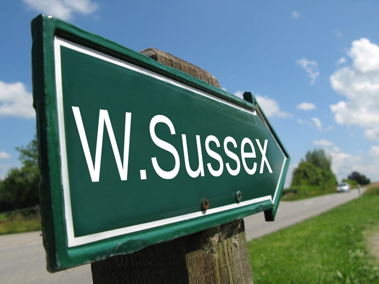 Mobile vet for horses West Sussex