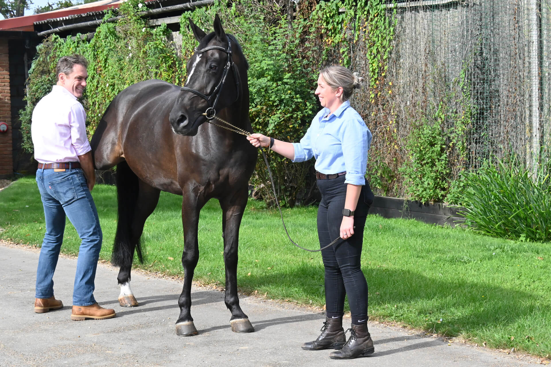 Contact Surrey Hills Equine Horse Vet Services In Surrey