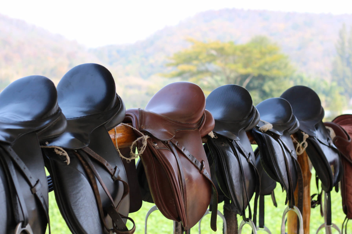 Riding Establishment Inspections Surrey Hills Equine