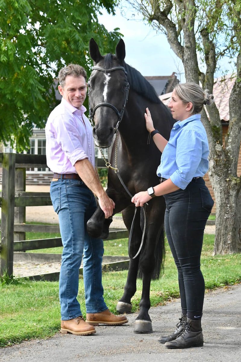 Equine Pre Ride Inspection Pre-purchase Examinations at Surrey Hills Equine - Quality Vettings